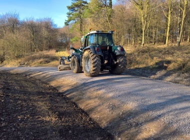 Forest Roads