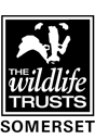 The Wildlife Trusts Somerset